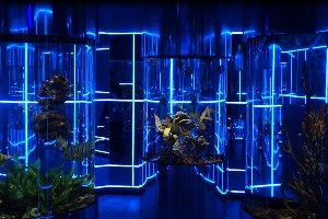 �����������