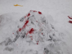 �����������